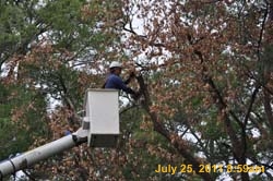 Entergy 022